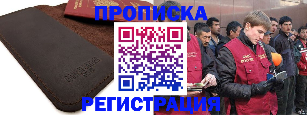 прописка штамп в Палласовке
